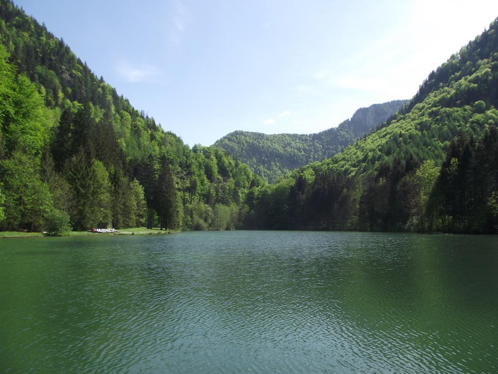 Ferienwohnung Am Roemerweg Wald Инцелль Экстерьер фото
