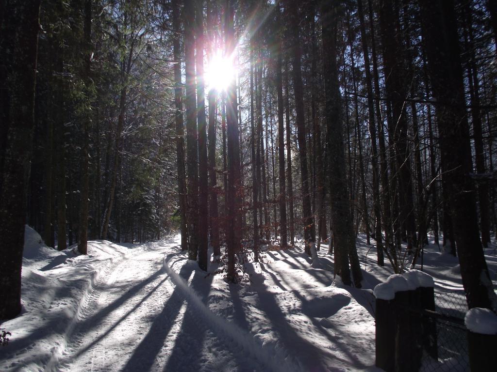 Ferienwohnung Am Roemerweg Wald Инцелль Экстерьер фото